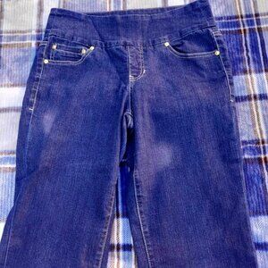 JAG Jeans High Rise Bootcut Denim Jeans - Size 8P